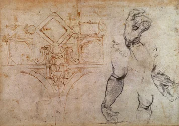 Esquema para el Techo de la Capilla Sixtina, c.1508